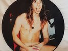 Metallica  picture disc vinyl shape rar heavy metal speed trash death rock black