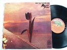 THE PRETTY THINGS PARACHUTE EX