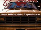 GIN BLOSSOMS-NEW MISERABLE EXPERIENCE VINYL LP NEW