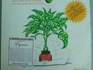 Mort Garson - Mother Earth's Plantasia LP 1976 Moog Synth VG+ Homewood booklet