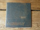 Heavenly - I fell in love last night vinyl 7