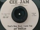 Rare Northern Soul 45 - ART WHEELER - THAT'S HOW MUCH I LOVE YOU on CEE-JAM