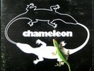 CHAMELEON Original 1981 1st Private press Minnesota AOR LP with poster