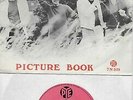 THE KINKS  Village Green / Picture Book  rare DENMARK Import 45 with PicSleeve