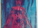 NIRVANA / SLIVER / 7