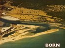 Born Sandy Devotional - The Triffids (1986 Australia)