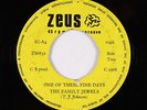 Funk R&B 45 - Family Jewels - One Of These Fine Days - Zeus - mp3 - unknown?