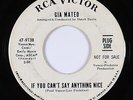 Northern Soul 45 - Gia Mateo - If You Can't Say Anything Nice - RCA Victor - mp3