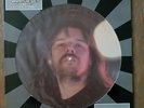 near mint picture disc BOB SEGER - NIGHT MOVES rare Detroit