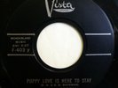 BILLY STORM 45 Puppy Love Is Here to Stay/Push Over VISTA teen NM jf169