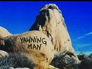 YAWNING MAN - ROCK FORMATIONS (BROWN VINYL)   VINYL LP NEW+