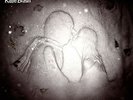 Kate Bush - 50 Words For Snow [New Vinyl LP] Rmst, Canada - Import