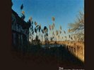 CINEMATIC ORCHESTRA: MA FLEUR (LP vinyl *BRAND NEW*)