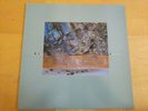 LP - DIF JUZ - Extractions, CAD-505, 1985, 4AD, Ethereal Indie Rock RARE MINT