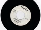 NORTHERN SOUL 45RPM - DALE BROOKS ON DOLPHIN - RARE PROMO   BOTH SIDES GREAT
