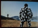 2LP Vinyl Pink Floyd – Delicate Sound Of Thunder (Gatefold-Cover) 1988/ Holland