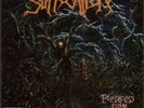 PIERCED FROM WITHIN (COLORED VINYL)