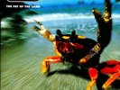 THE PRODIGY THE FAT OF THE LAND 2 X 12