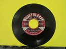 VHTF ROCK 45 White Caps Northland 90-7002 Rock N Roll Saddles/Why’d You Leave Me