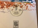 OPTIK - MUSIC  HARMONY  AND RHYTHM  12