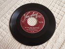 DOOWOP GROUP THE MAGNIFICENTS  UP  ON THE MOUNTAIN/WHY DID SHE GO VEE-JAY 183 M-