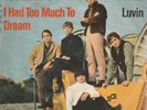 Single 7'' The Electric Prunes - I Had Too Much To Dream - Reprise RA0532  -1966