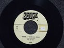 THE RE-VELS Dream My Darling Dream SOUND 135