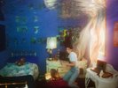 WEYES BLOOD - TITANIC RISING - NEW RED VINYL LP (INDIES ONLY)