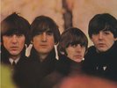 Beatles for Sale [Mono Vinyl] by The Beatles (Vinyl, Sep-2014, Capitol)