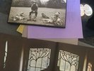 George Harrison All Things Must Pass Record 3 LP rock Original w/ inner & Poster