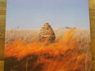 The Maccabees   Given To The Wild   2012   Black Vinyl LP   Fiction Records