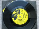 The Mickey Finn - Garden Of My Mind / Time To Start Loving You - 7