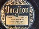 Vocalion 02928 Bill Carlisle LITTLE WILD ROSE  country 78rpm 1934 V+
