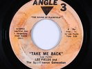 Northern Soul 45 - Lee Fields - Take Me Back - Angle 3 - mp3