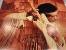 Jimi Hendrix Live At Woodstock Vinyl. Top Con.