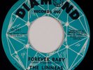 THE LINNEAS: Forever Baby US Diamond D-241 Soul Rare 45 NM-