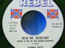 Happy Fats-Dear Mr.Secretary/Birthday Thank-Rare Country/Political 45-Rebel-NM