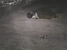 Naked City by John Zorn (Vinyl, Aug-2016, 1972)