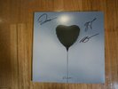 SIGNED Autographed The Amity Affliction MISERY Vinyl Album NEW