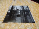 PAUL McCARTNEY - CHAOS AND CREATION IN THE BACKYARD (ORIGINAL 2005 LP / VINYL)