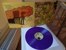DINOSAUR JR. limited 1.000 purple Vinyl LP I Bet On Sky (2012)