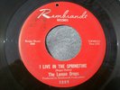 1967 GARAGE--LEMON DROPS--I LIVE IN THE SPRINGTIME--REMBRANDT--FIRST PRESSING
