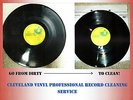 Professional Record Cleaning Service, Ultrasonic Machine Cleaned + VPI 5 records