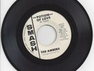 Northern Soul 45-Ambers-Potion Of Love / Another Love-Smash 2111 D. J.