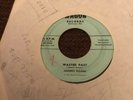 Very Rare Johnny Roane 45 Drag Strip Baby/wasted Past
