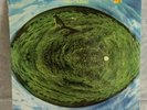 MIKE OLDFIELD - HERGEST RIDGE - VIRGIN RECORDS-790590-1 - 
