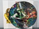 Led Zeppelin Whole Kashmir Live Pic EP Picture Disc Vinyl Record w Cover Rare NM
