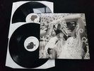 BJORK Vespertine 2x12 LP Original 2001 EU Press RARE w/ Inserts ( Polydor ) NM