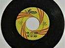 Super Psych 45 - Six Deep - Girl It's Over - De Lynn 101 - 1967 - Fuzz Break WOW