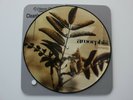 Amorphis ?– Tuonela    PICTURE VINYL
